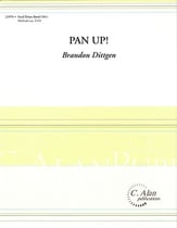 Pan Up! Steel Drum Ensemble cover